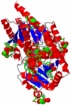 Image Asym./Biol. Unit - sites