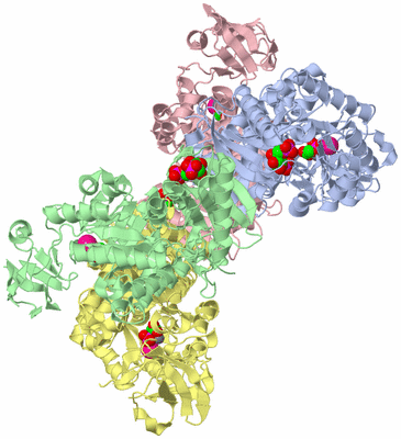 Image Asym./Biol. Unit