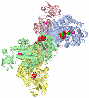 Image Asym./Biol. Unit