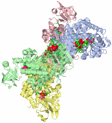 Image Asym./Biol. Unit - sites