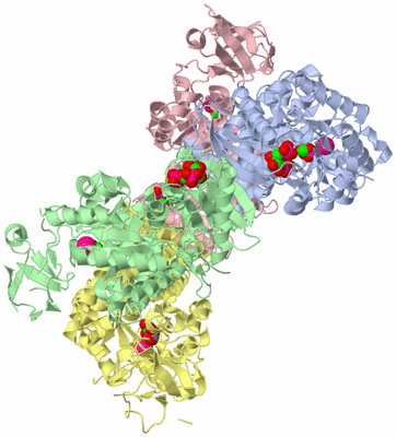 Image Asym./Biol. Unit