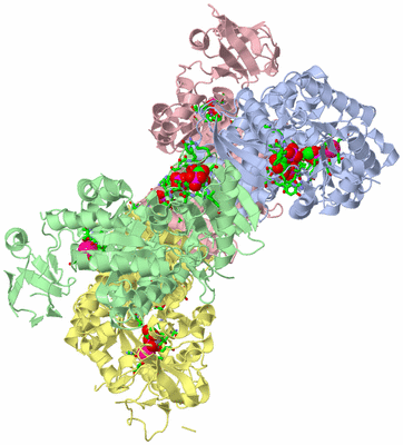 Image Asym./Biol. Unit - sites