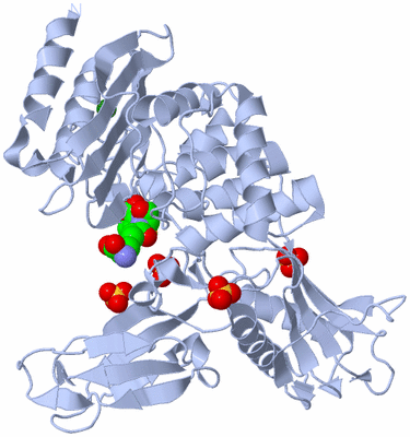 Image Biological Unit 1