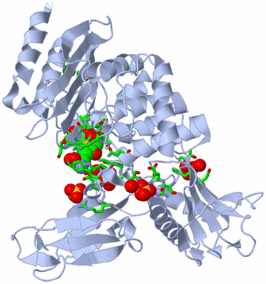 Image Biol. Unit 1 - sites