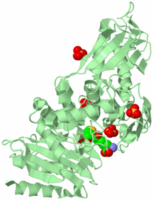 Image Biological Unit 2