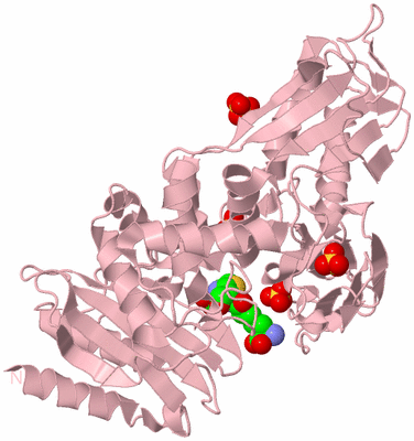 Image Biological Unit 3