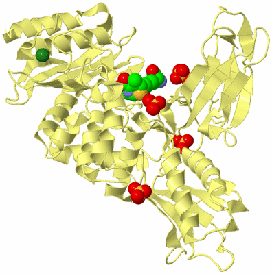 Image Biological Unit 4