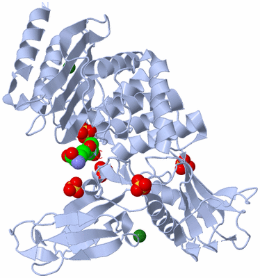 Image Biological Unit 1