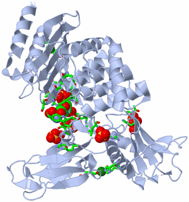 Image Biol. Unit 1 - sites