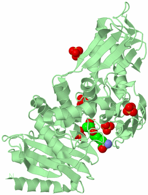 Image Biological Unit 2