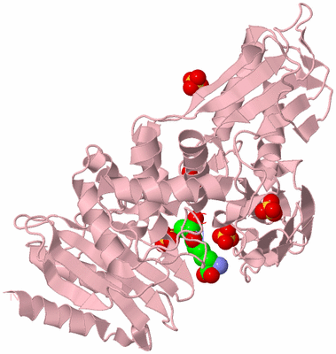 Image Biological Unit 3