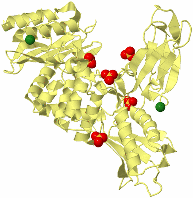 Image Biological Unit 4