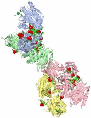 Image Asym. Unit - sites