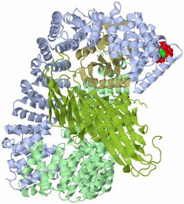 Image Asym./Biol. Unit