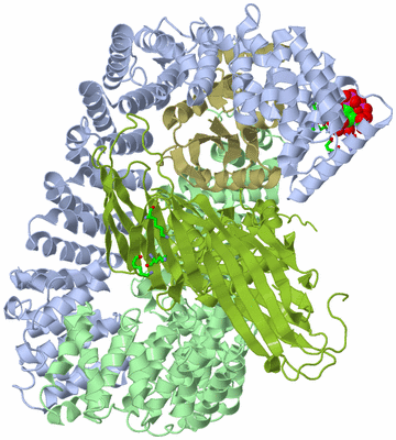 Image Asym./Biol. Unit - sites