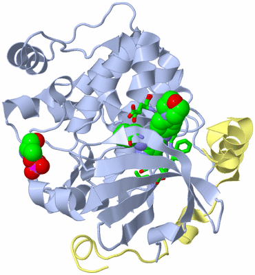 Image Biol. Unit 1 - sites