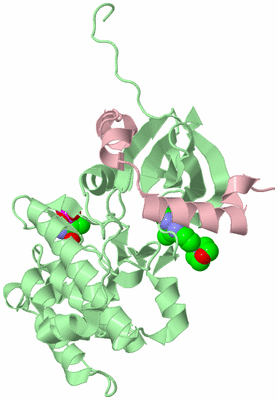 Image Biological Unit 2