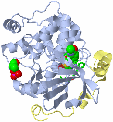 Image Biol. Unit 1 - sites