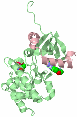 Image Biological Unit 2