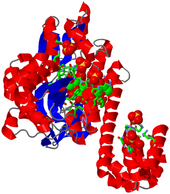 Image Asym./Biol. Unit - sites