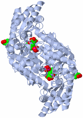 Image Biological Unit 1