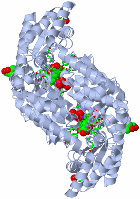 Image Biol. Unit 1 - sites