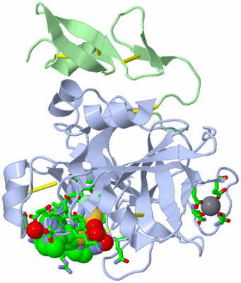 Image Asym./Biol. Unit - sites