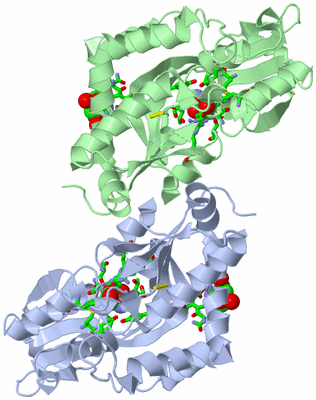 Image Asym./Biol. Unit - sites