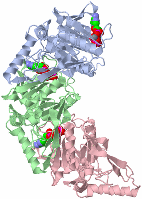 Image Asym./Biol. Unit