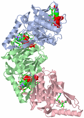 Image Asym./Biol. Unit - sites