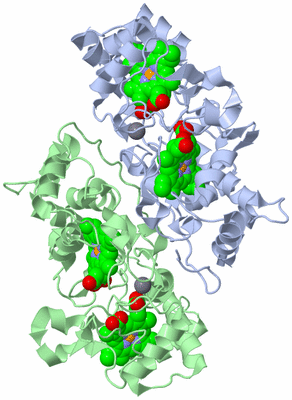 Image Asym./Biol. Unit