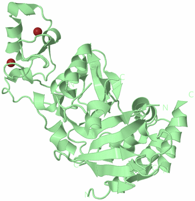 Image Biological Unit 2