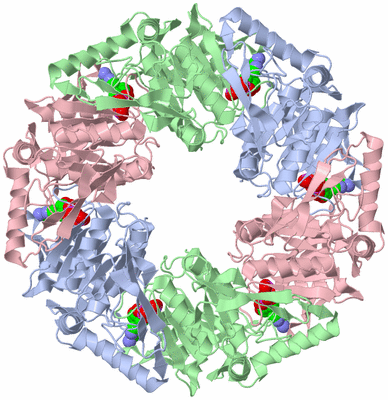 Image Biological Unit 1