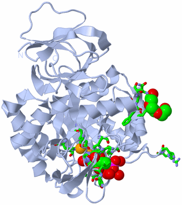 Image Biol. Unit 1 - sites