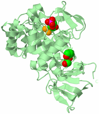 Image Biological Unit 2