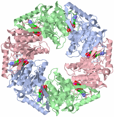 Image Biological Unit 1