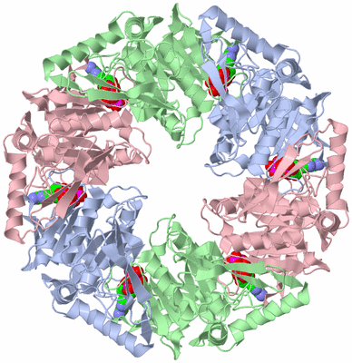 Image Biological Unit 1