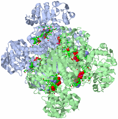 Image Biol. Unit 1 - sites