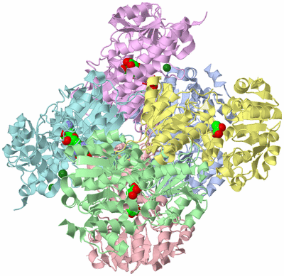 Image Asym./Biol. Unit