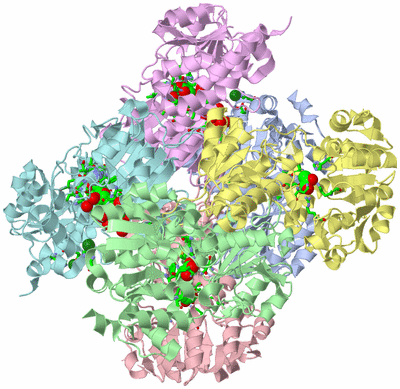 Image Asym./Biol. Unit - sites