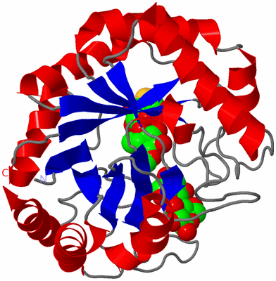 Image Asym./Biol. Unit