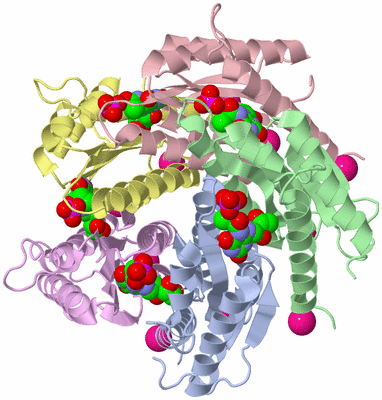 Image Biological Unit 1