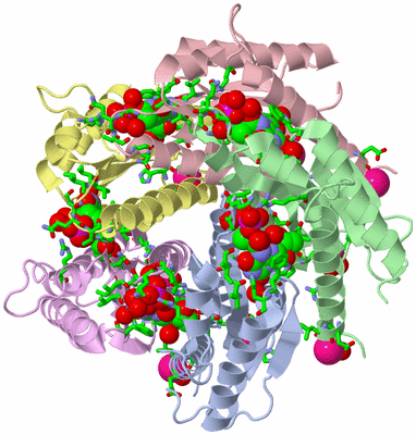 Image Biol. Unit 1 - sites