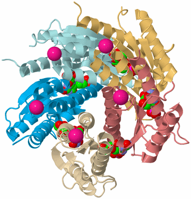 Image Biological Unit 2