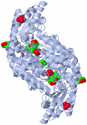 Image Biological Unit 1