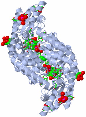 Image Biol. Unit 1 - sites