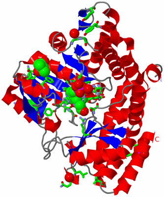 Image Asym. Unit - sites