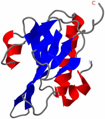 Image NMR Structure - model 1