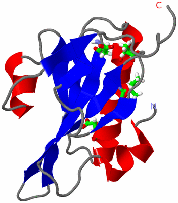 Image NMR Structure - model 1, sites