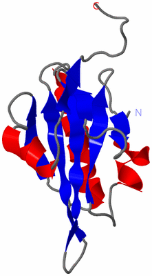 Image NMR Structure - model 1